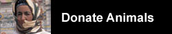 Give Animals