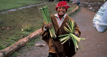 A young boy happily carries bundles of grass to a festival. He is wearning a red hat.